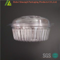 Clear transparent clamshell plastic big salad box